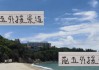 中超前5外援渠道 成都+山东喜欢到韩国挖宝 申花海港到葡萄牙进货